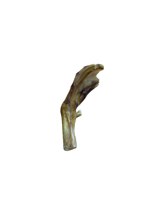 Duck Feet