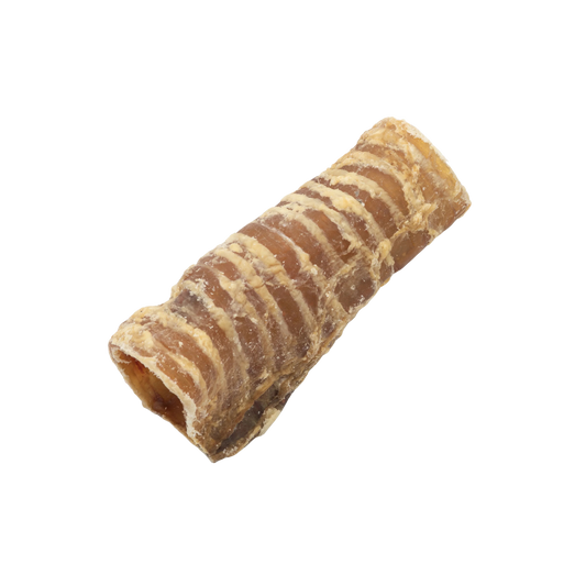 Beef Trachea