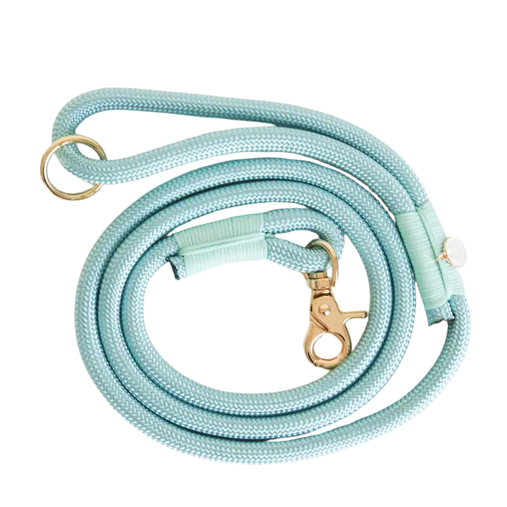 Furlou Braided Lead - Aqua