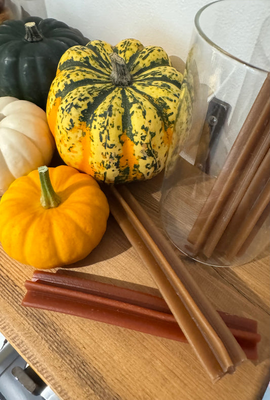 Pumpkin & Carrot sticks