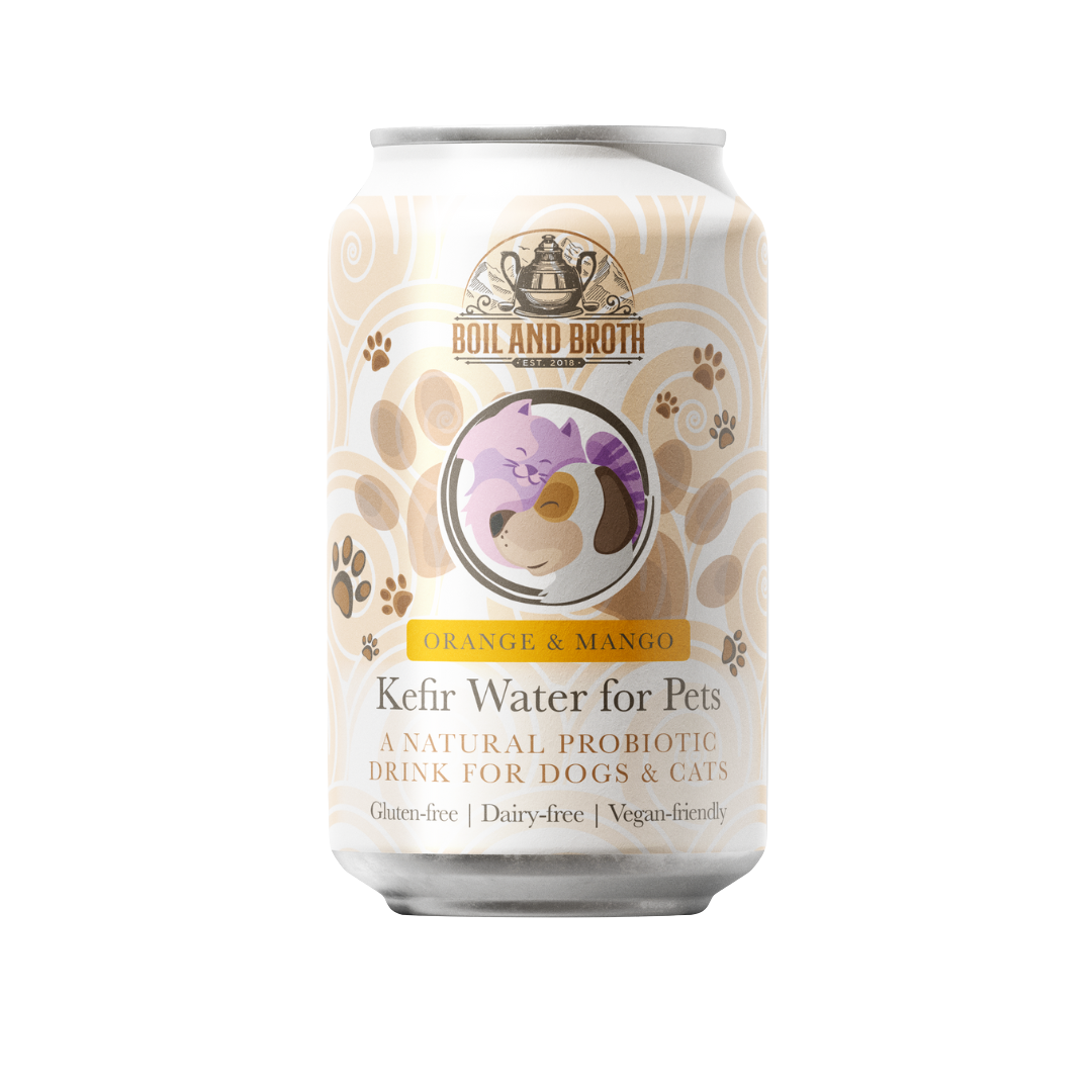 Orange & Mango Water Kefir for Dogs & Cats