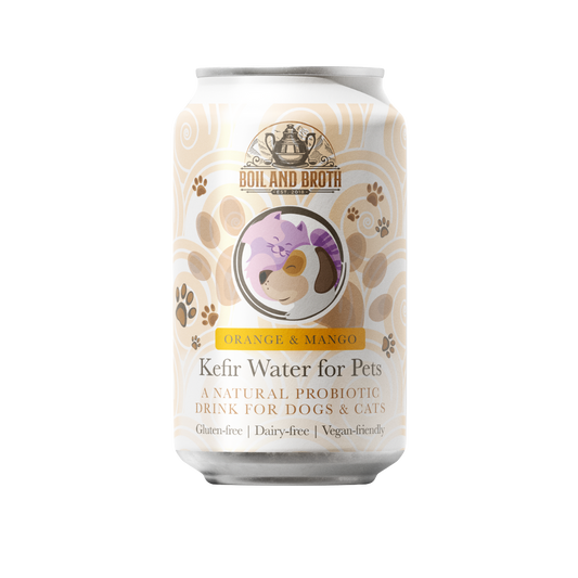 Orange & Mango Water Kefir for Dogs & Cats