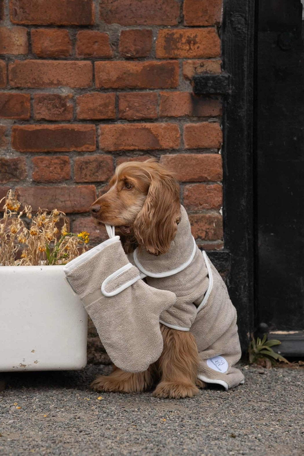 Dog Drying Gloves/Mitts