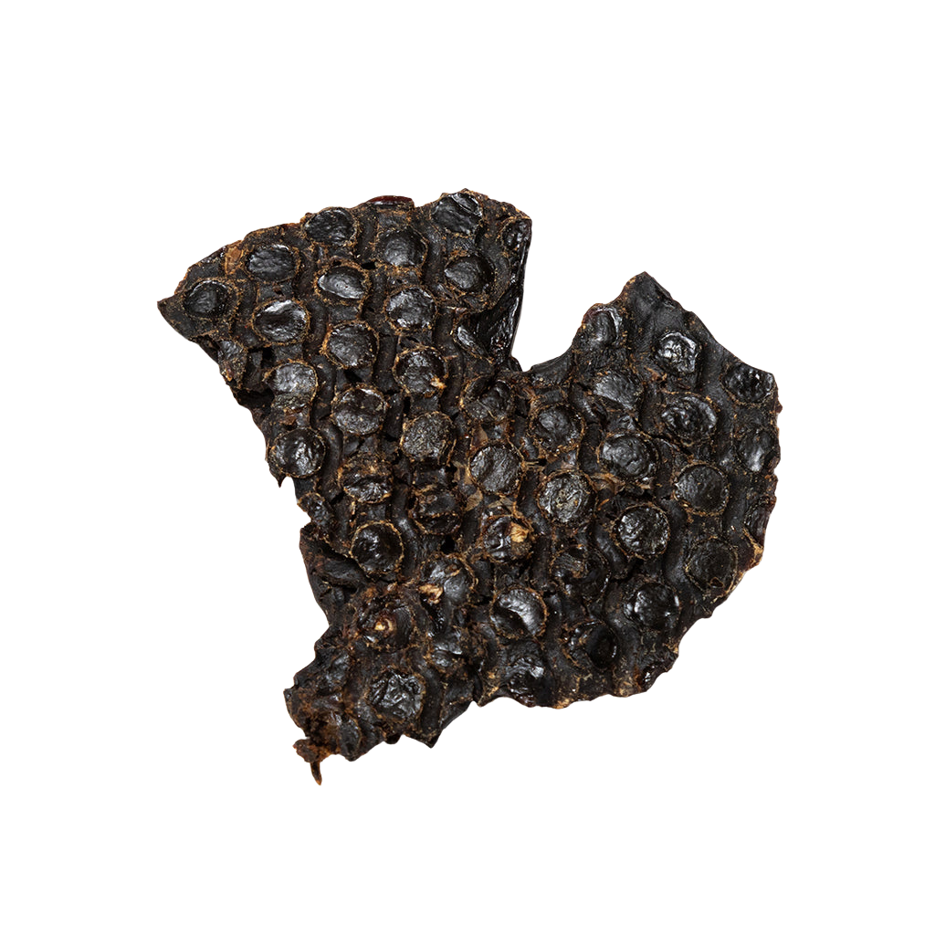 Rabbit Liver
