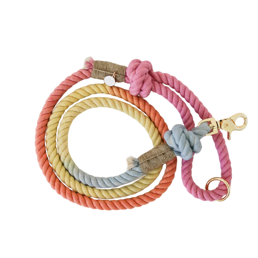 Furlou Cotton Rope Lead - Lucky charms