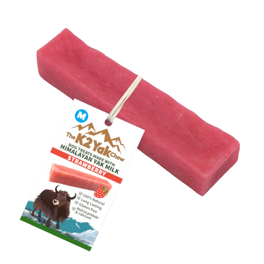 Strawberry Yak Chew - Medium
