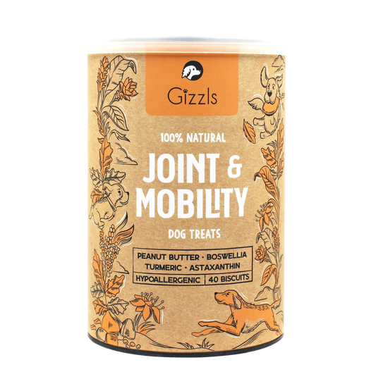 Gizzls Joint & Mobility