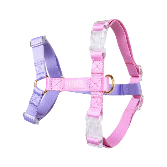 Furlou Harness - Lavender & Pink