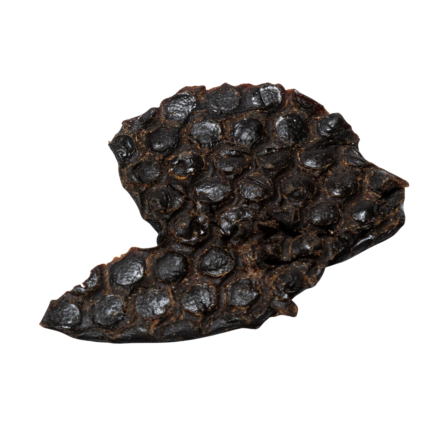 Ostrich Liver