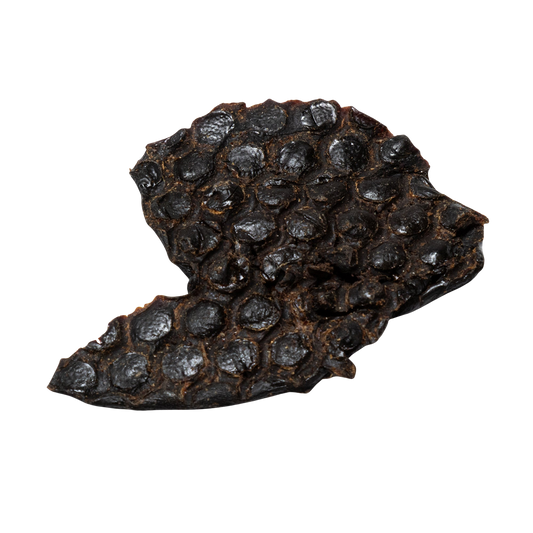 Ostrich Liver