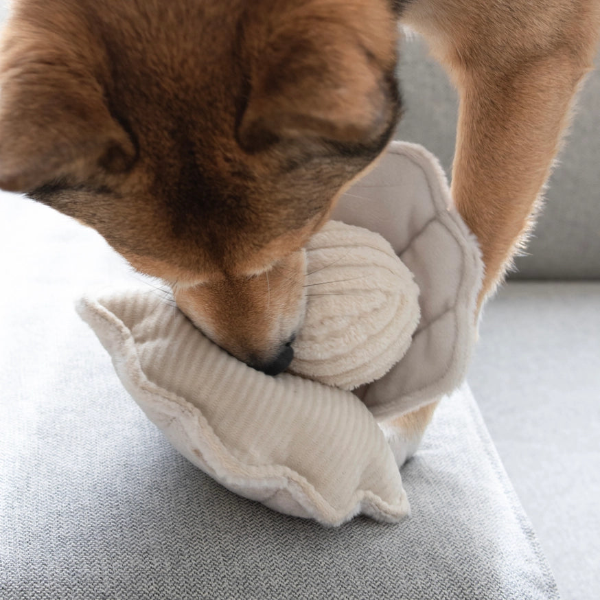 Lambwolf Collective Oyster Pop Enrichment Toy