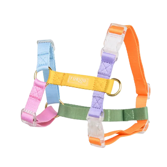 Furlou Harness - Rainbow