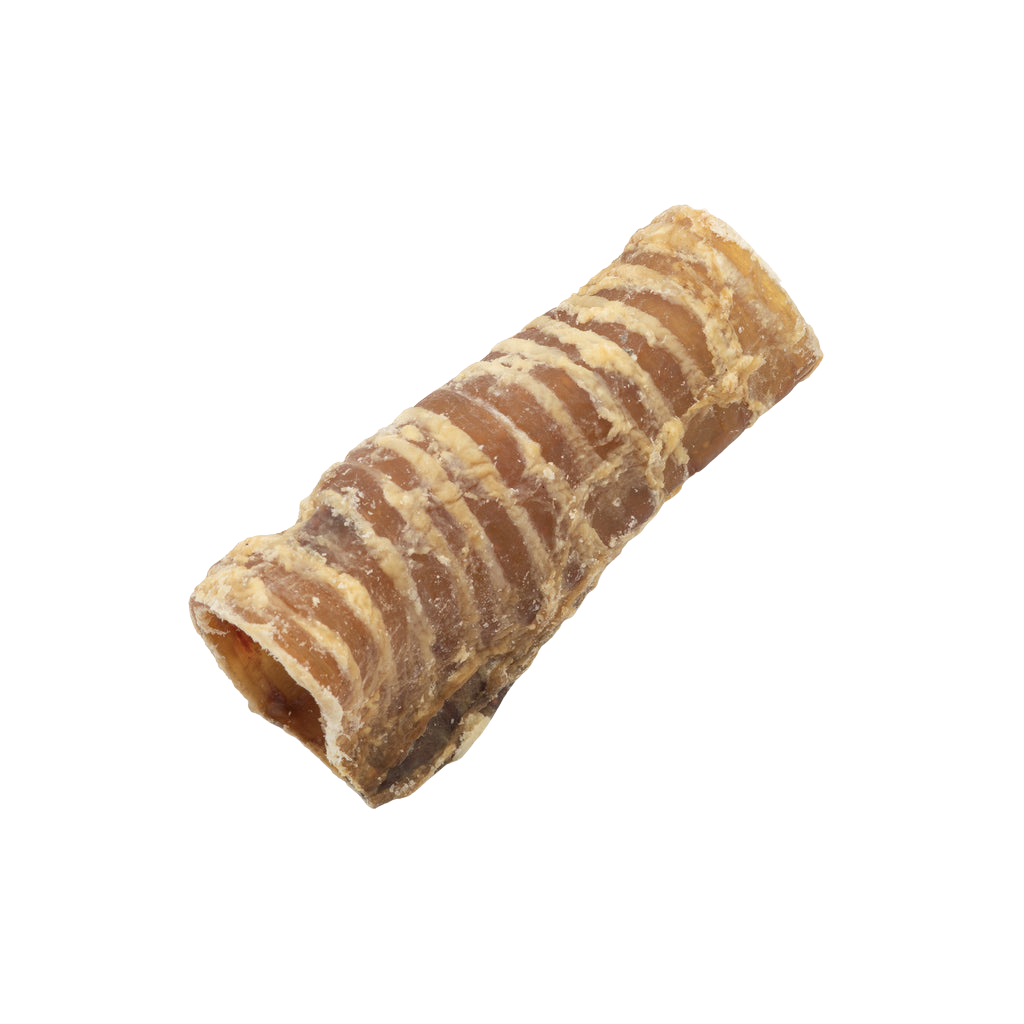 Beef Trachea